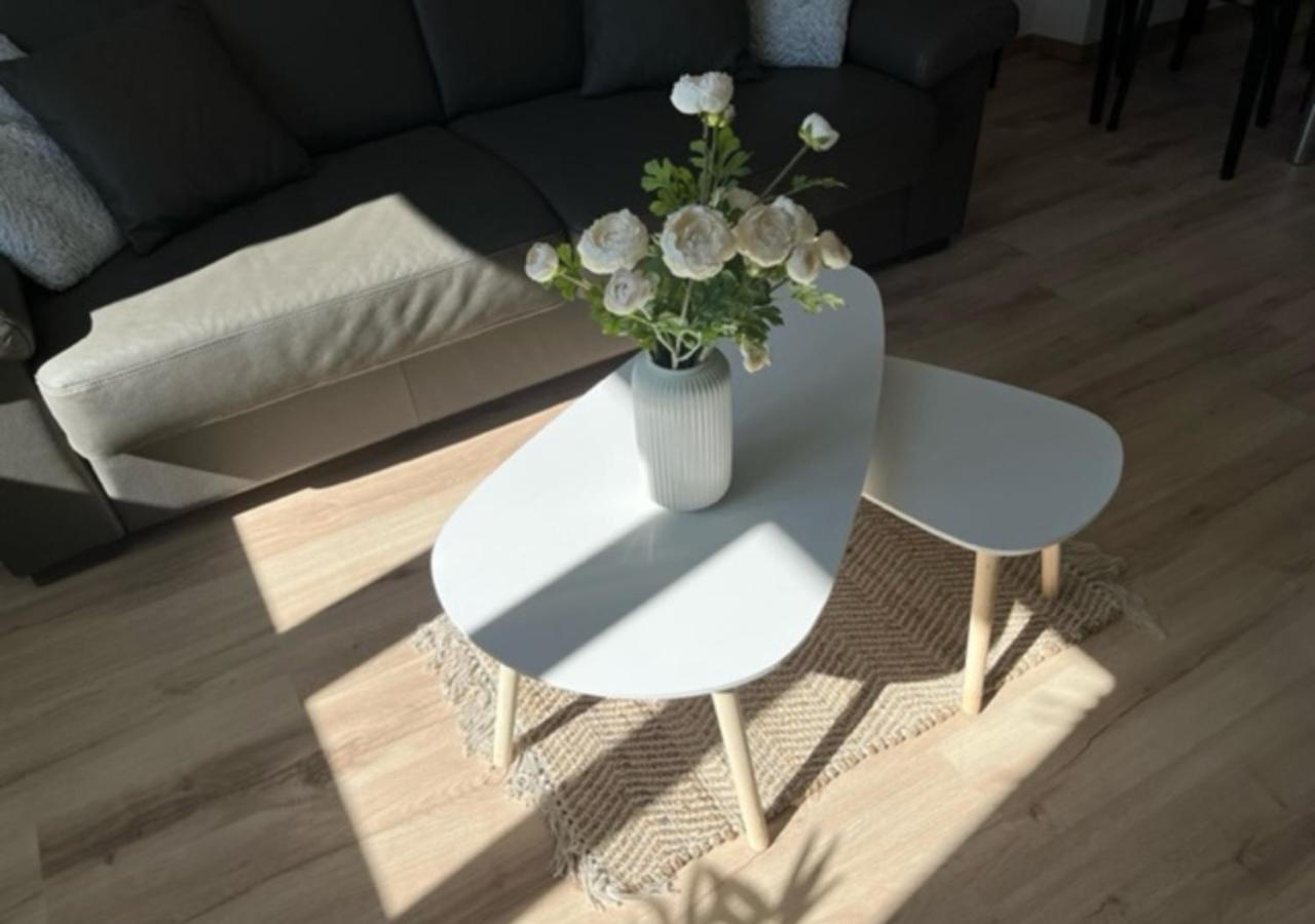 Cosy T2-Gare De Grenoble公寓 外观 照片